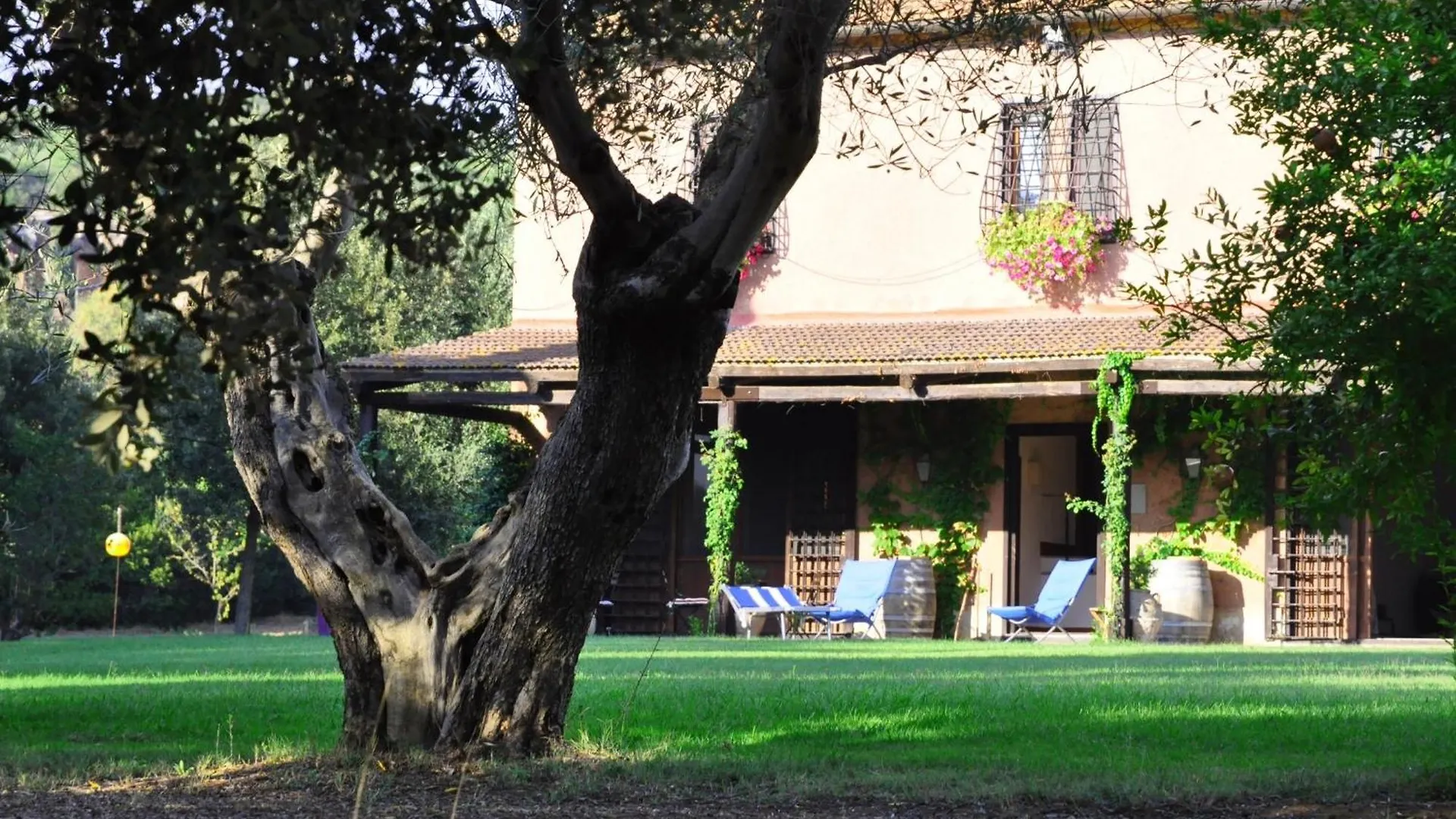 Agriturismo Podere Sant' Antonio Alberese Country house