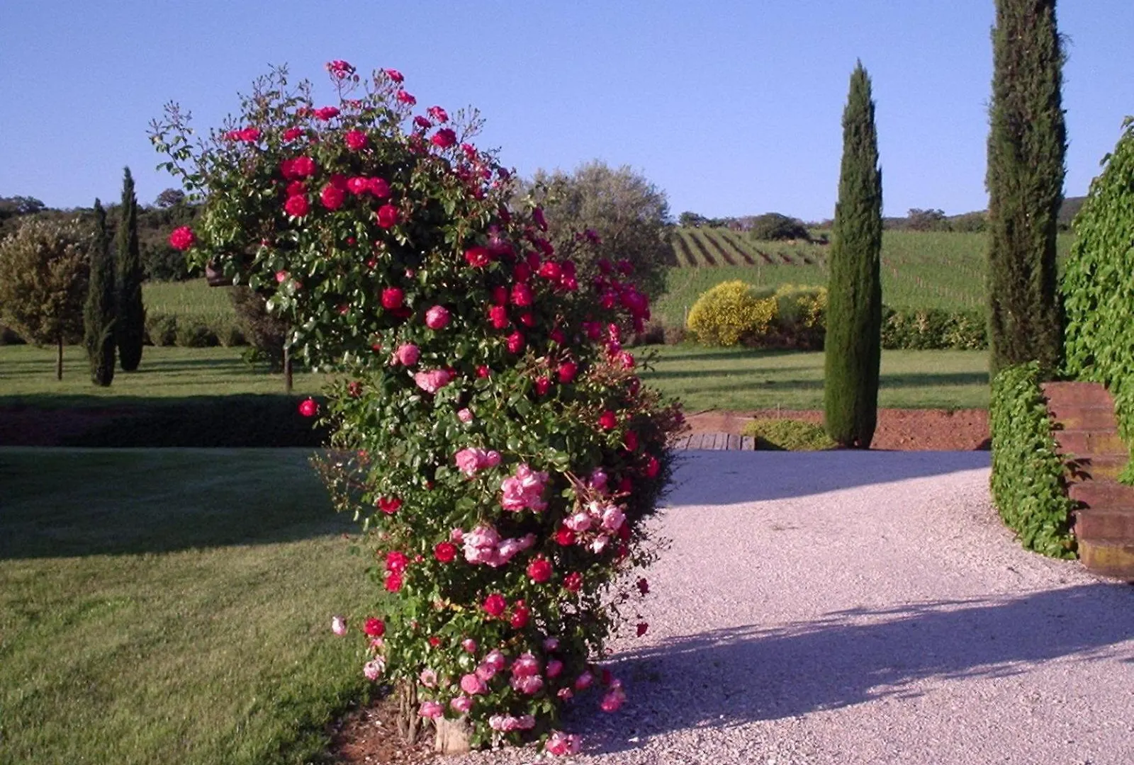 Country house Agriturismo Podere Sant' Antonio Alberese Italy