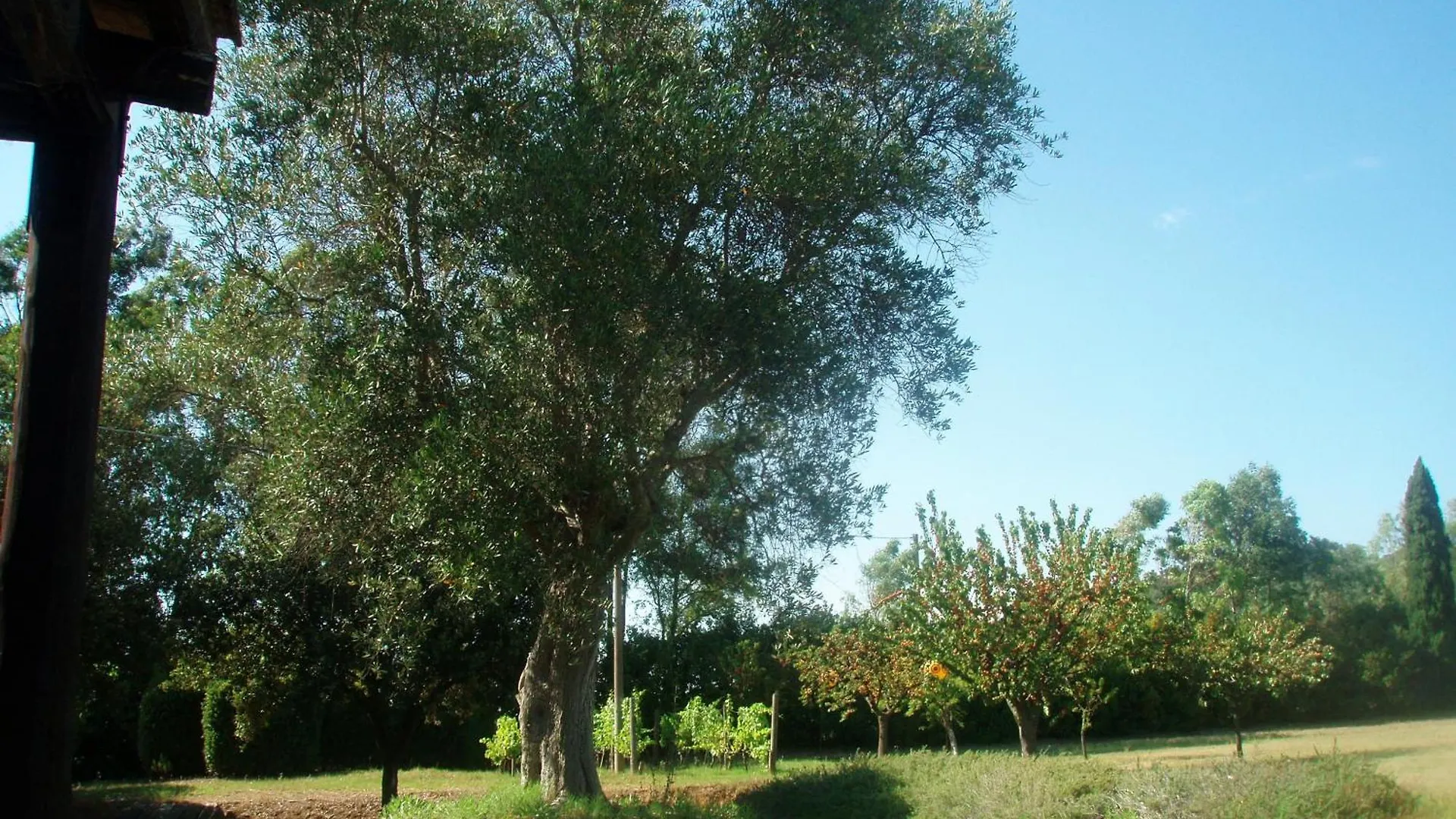 Agriturismo Podere Sant' Antonio Alberese