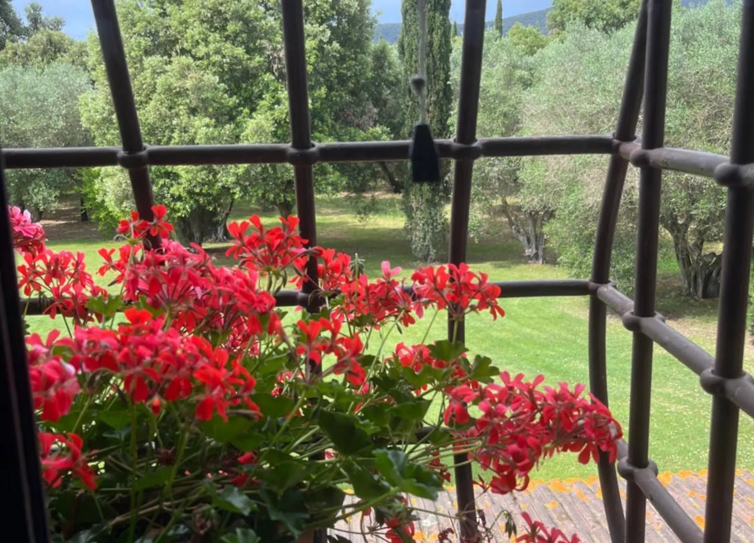 Agriturismo Podere Sant' Antonio Alberese