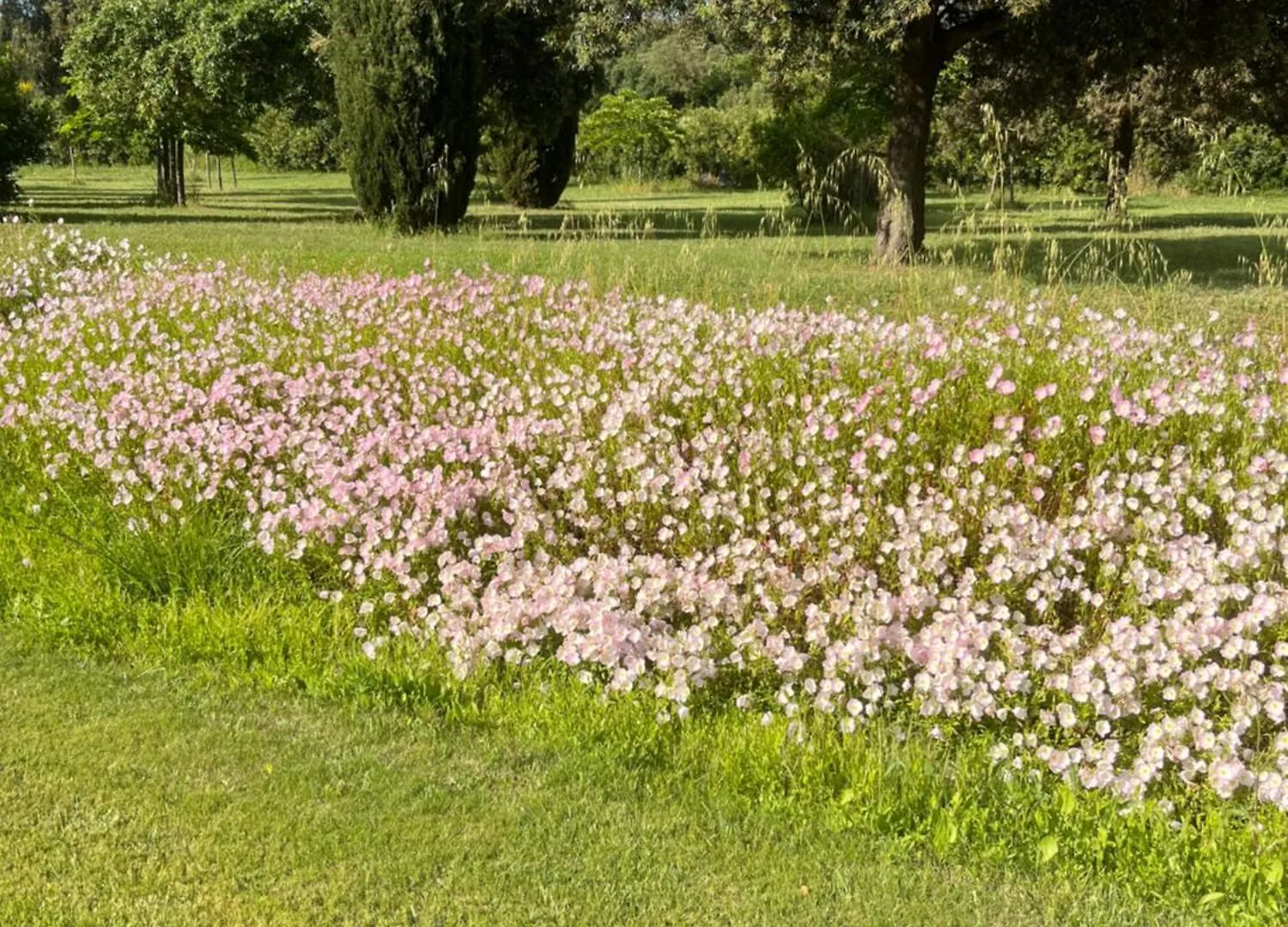 Agriturismo Podere Sant' Antonio Alberese Italy
