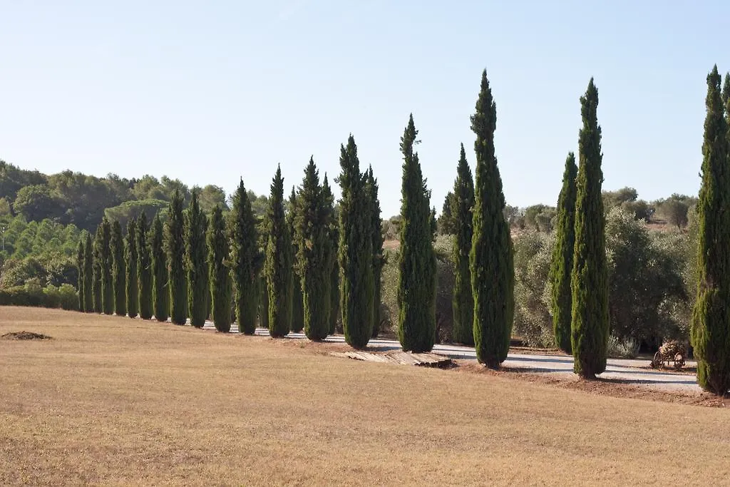 Agriturismo Podere Sant' Antonio Alberese